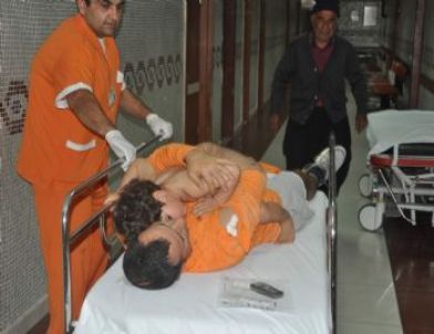 Alanya'da Köpek Dehşeti