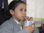 MUSTAFA ERKAYıRAN - Rize’de Yaklaşık 2 Bin 700 Veli Çocuklarına Süt Verilmesini Kabul Etmedi
