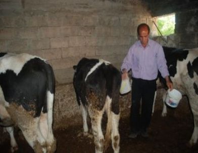 Suriye Sınırındaki Yedieminler, Ücretleri Tahsil Edememekten Şikayetçi