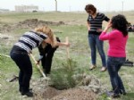YYÜ’de Fidan Dikimi