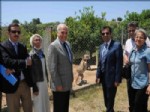 MERSIN ÜNIVERSITESI - Güzeloğlu, Hayvan Barınağında İnceleme Yaptı