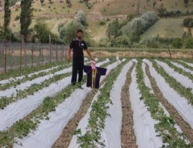 Batmanlı Çiftçi, Fenerbahçe Formasını Tarlada Korkuluk Yaptı