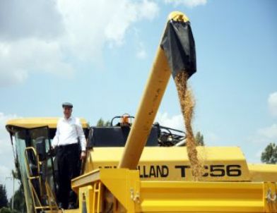 Bilinçsiz Hasat ve Depolamada Kayıp Büyük