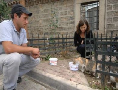 Bursa’da Sokak Hayvanları Aç Kalmayacak