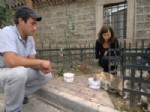 NALBANTOĞLU MAHALLESI - Bursa’da Sokak Hayvanları Aç Kalmayacak
