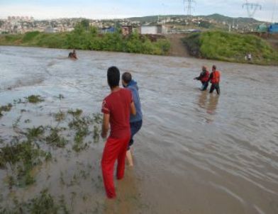 Irmakta Sel Suyuna Kapılan Atlar, İtfaiyenin Operasyonuyla Kurtarıldı
