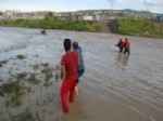 Irmakta Sel Suyuna Kapılan Atlar, İtfaiyenin Operasyonuyla Kurtarıldı