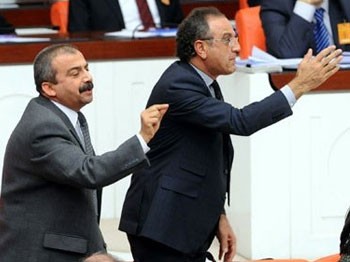 Sırrı Süreyya Önder, Bakan Şahin'in üzerine yürüdü
