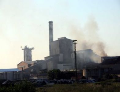 Sakarya’da Korkutan Yangın