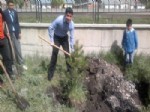 Şehit Yılmaz Bilgin İlköğretim Okulunun Bahçesi Yeşillenecek