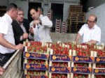 KADIR MUTLU - Sultanhisarlı Çilek Üreticisi Perişan