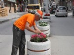 SARAYCıK - Bozüyük’te Yollar Çiçek Bahçesine Döndü