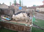 YAĞMUR DUASI - Yozgat’ta Sel Suları 10 Bin Dekar Ekili Tarım Alanına Zarar Verdi
