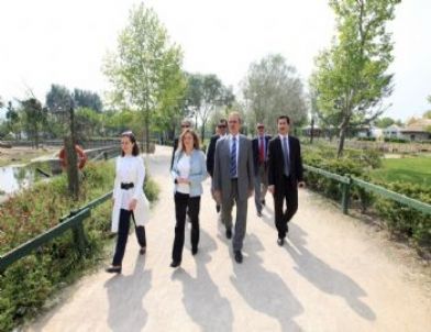 Bursa Hayvanat Bahçesi'nde Zürafa Heyecanı