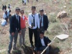 DADALOĞLU - Şehit Deniz Kaya Ticaret Lisesi Turizm Ormanı'na Fidan Dikti
