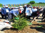 YUSUF UZUN - Beylikdüzü'nde 300 Fidan Dikildi