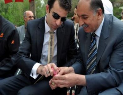 Sivas’ta Hıdırellez Bayramı Kutlandı