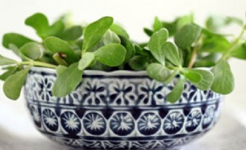 Azheimer ve bunama riskini azaltıyor