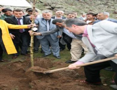 İl Özel İdare Ağaçlandırırken Kazandırıyor