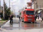 BAHAR TEMİZLİĞİ - Ahlat Belediyesi Bahar Temizliği Yapıyor