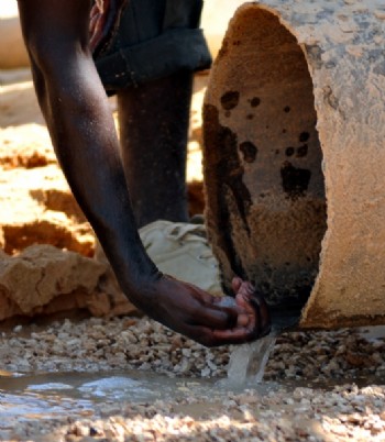 Kuraklık önce hayvanları vurdu