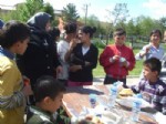 YONCALı - Öğrenciler Piknikte Doyasıya Eğlendi