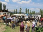 RAMAZAN KURTYEMEZ - Kırsal Alan Destiğiyle 30 Köylüye 120 Düve Verildi