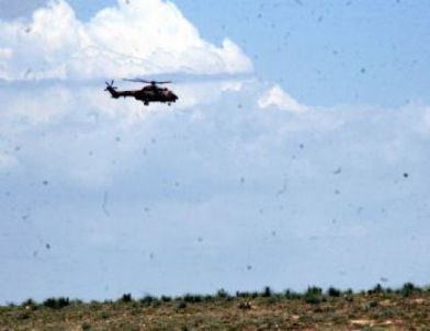 Minik Yakup'u Bulmak İçin Devlet Seferber Oldu