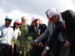 ALI AYDıN - PTT Kayseri’de 25 Bin Ağaç Dikti