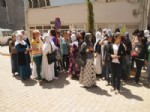 BERFIN - Cizre’de Kadınlar, 'tecavüz'e Hayır' Demek için Bir Araya Geldi