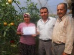 MAHMUT YıLDıZ - Dalaman'da Eküy Üreticilerine Sertifikaları Verildi