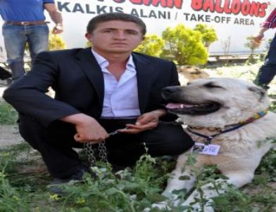 Nevşehir'de Köpek Yarışması