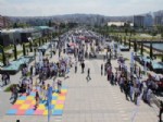 CAPOEIRA - Samsun’da Olimpik Gün Etkinlikleri