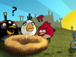 XBOX 360 - Angry Birds Konsollara Geliyor