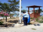 Datça’nın Mavi Bayraklı Plajları Yaza Hazır