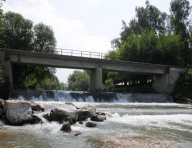 Savrun Çayında Balık Nesli Tükeniyor