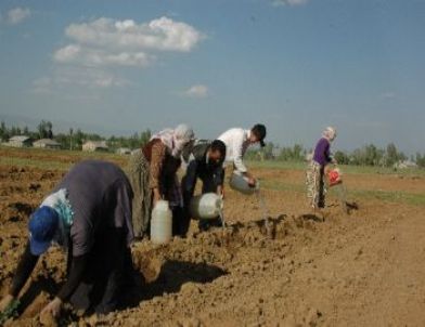 Tarlalarını Sulamak İçin 300 Metreden Kovalarla Su Taşıyorlar