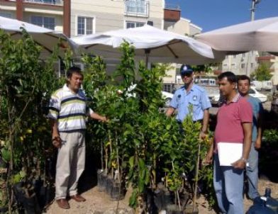 Didim’de Bitkilere Kimlik Kontrolü