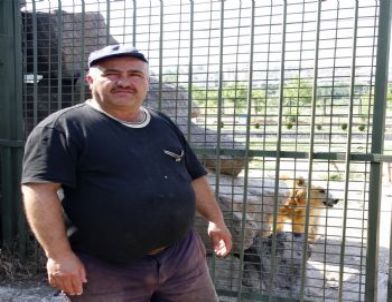 Başkent’te Aşırı Sıcaklar Bunalttı