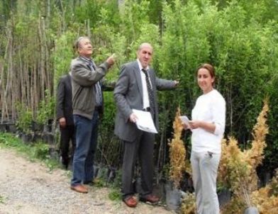 Fidan ve Tohum Bayi Denetimleri Yapıldı