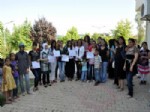 MITANNI - Nusaybin'de Kadın Sağlığı Eğitimi Programını Tamamlayan 12 Kursiyere Sertifikaları Verildi