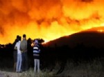 Ayvalık’taki Orman Yangını Kontrol Altına Alındı