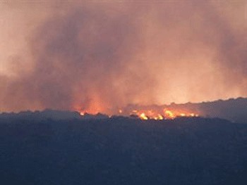 Cunda Adası Sabaha Kadar Yangınla Boğuştu
