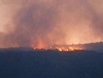 Cunda Adası Sabaha Kadar Yangınla Boğuştu