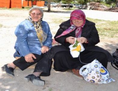 Öğrenciler LYS'de Ter Döktü