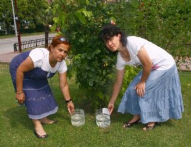 Sokak Hayvanları İçin 'Bir Kap Su Sen De Koy' Kampanyası