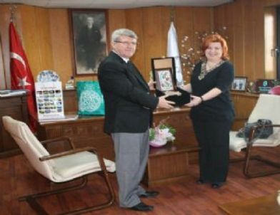 Romanyalı Eğitimciler Bursa’da