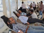 Alaca'da 500 Ünite Kan Toplandı
