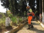 Başiskele Mezarlıklarında Bakım Çalışmaları Sürüyor