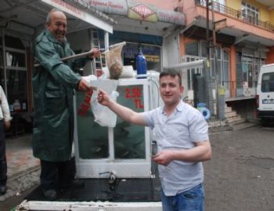 Kamyonette Canlı Alabalık